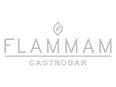 LOGO_flammam-grey